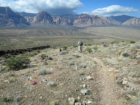 Second Finger Trail