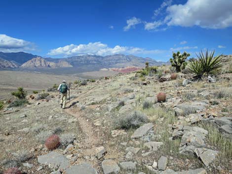 Second Finger Trail