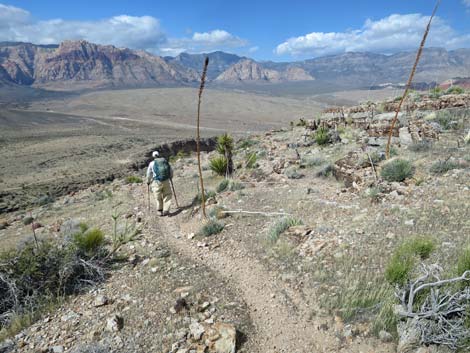 Second Finger Trail