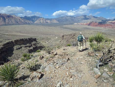 Second Finger Trail