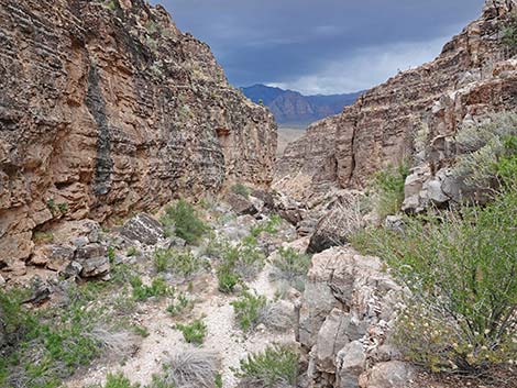 Desert Cave