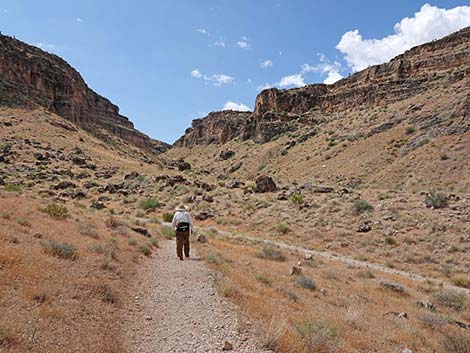 Fossil Canyon