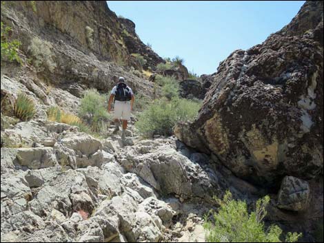 Fossil Canyon