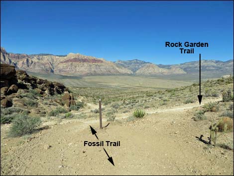 Fossil Trail