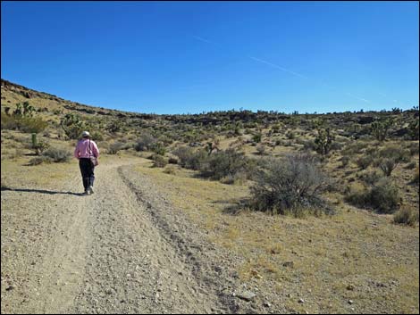 Fossil Trail