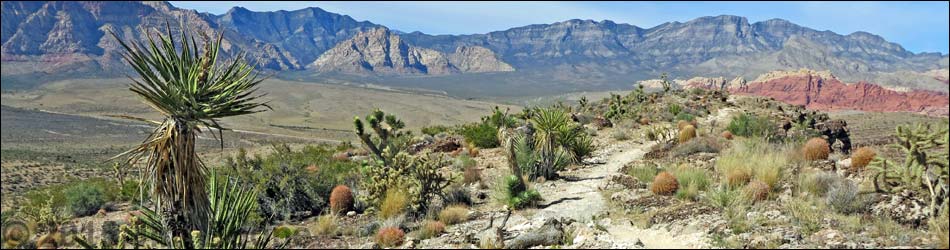 Rock Garden Trail