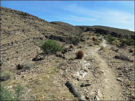 Rock Garden Trail