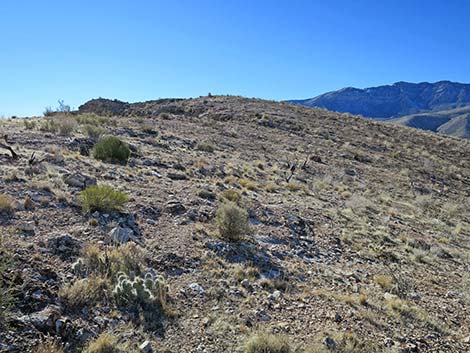 Birdspring Peak