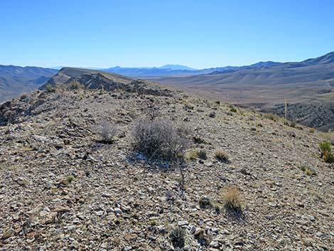 Birdspring Peak