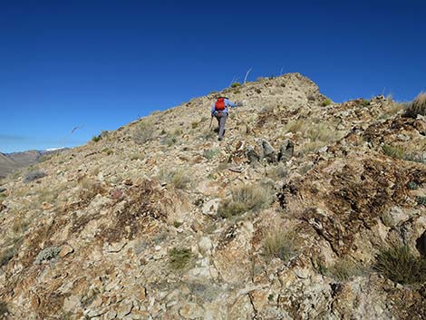 Birdspring Peak