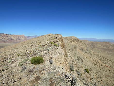 Birdspring Peak