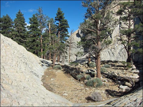 Rainbow Mountain Wilderness Area