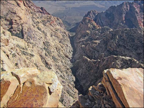 Bridge Mountain Trail