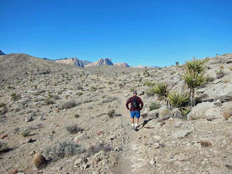 Ridgeline Loop Trail