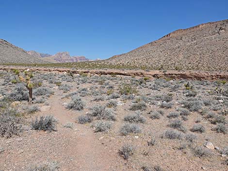 Ridgeline Loop Trail