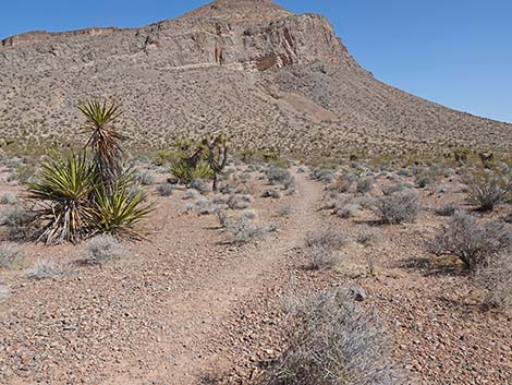 Ridgeline Loop Trail
