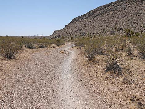 Ridgeline Loop Trail