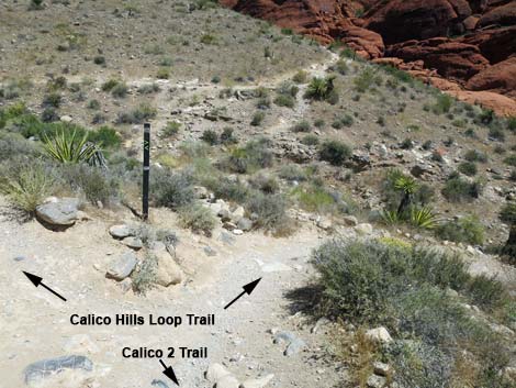 Calico 2 Trail