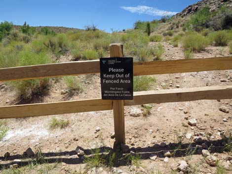 Calico Basin Trail