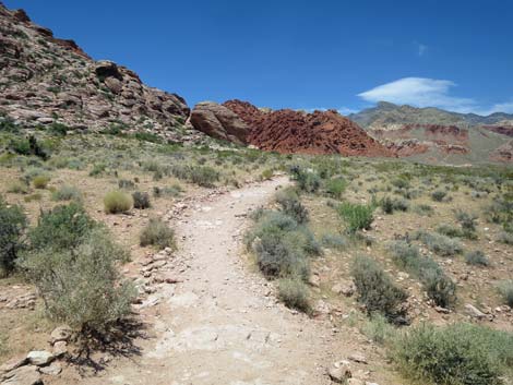 Calico Basin Trail