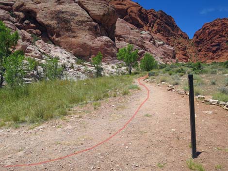 Calico Basin Trail