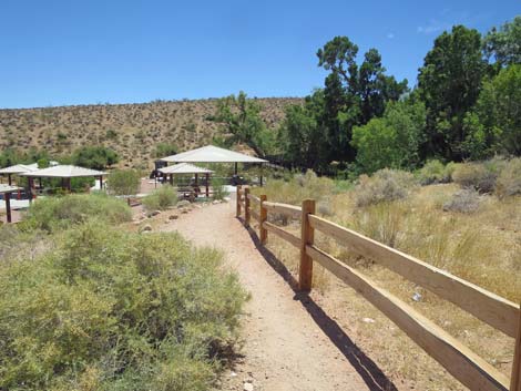 Calico Basin Trail