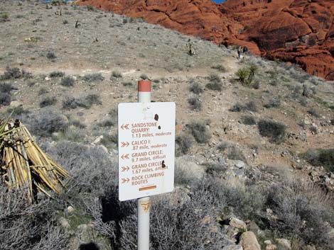 Calico Hills Loop Trail