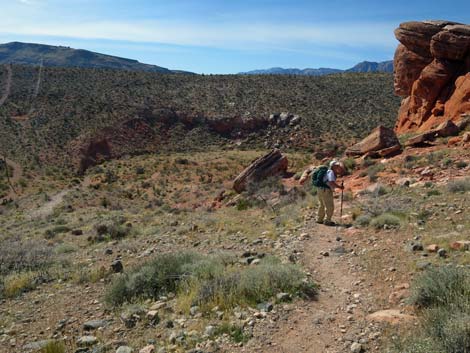 Calico Hills Loop Trail