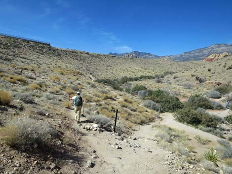 Calico Hills Loop Trail