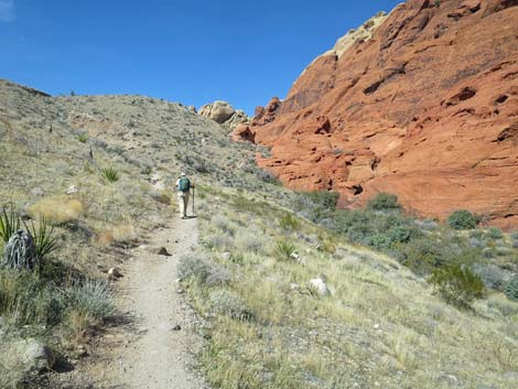 Calico Hills Loop Trail