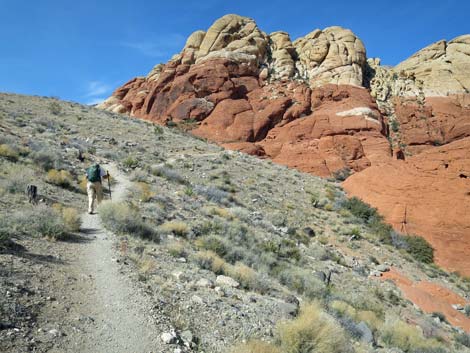 Calico Hills Loop Trail