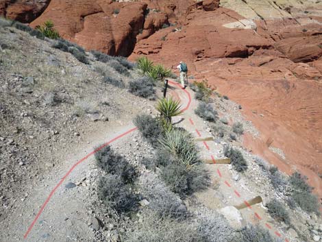 Calico Hills Loop Trail