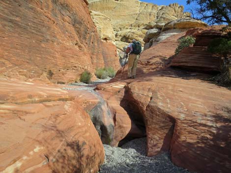 Calico Hills Loop Trail