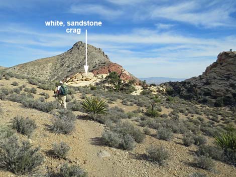 Calico Hills Loop Trail