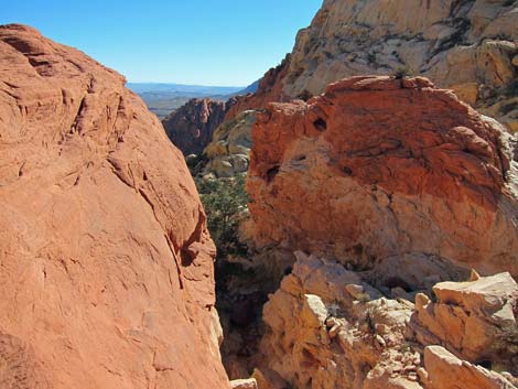 Calico Hills Loop Trail