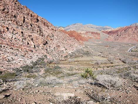 Calico Basin Overlook Trail