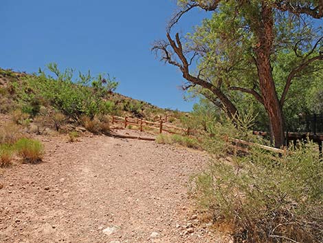 Calico Basin Overlook Trail