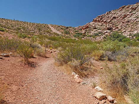 Calico Basin Overlook Trail