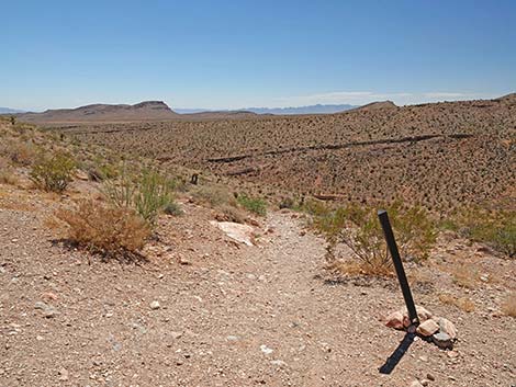 Calico Basin Overlook Trail