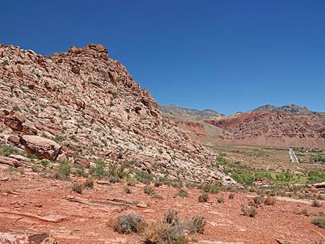 Calico Basin Overlook Trail