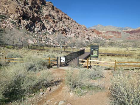 Calico Basin Overlook Trail