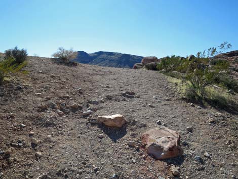 Calico Hills Loop Trail