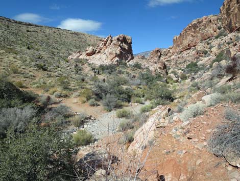 Calico Basin Overlook Trail