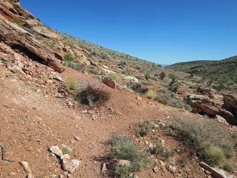 Calico Basin Overlook Trail