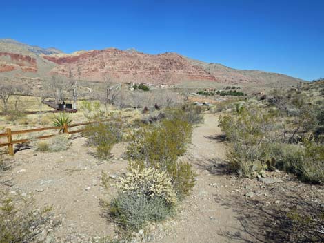 Calico Basin Overlook Trail