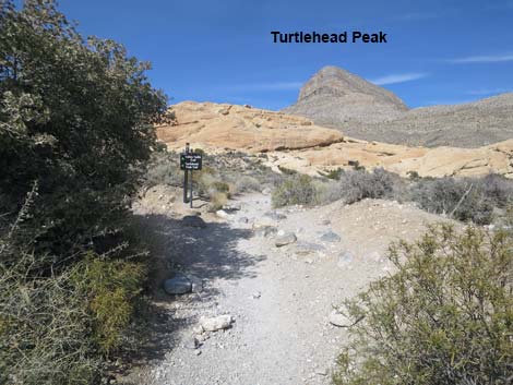 Calico Hills Loop Trail