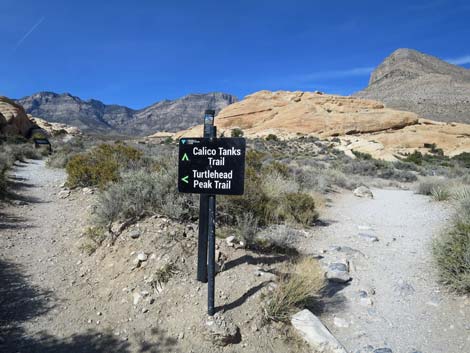 Calico Hills Loop Trail