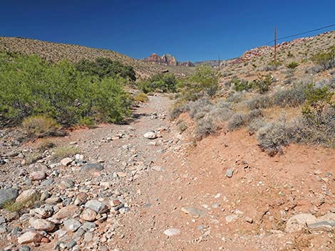 Calico Wash Trail