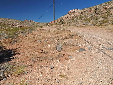 Calico Wash Trail