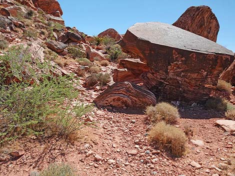 Calico Wash Trail